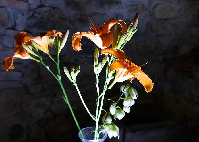 Fiordaliso Διαμέρισμα Όπως