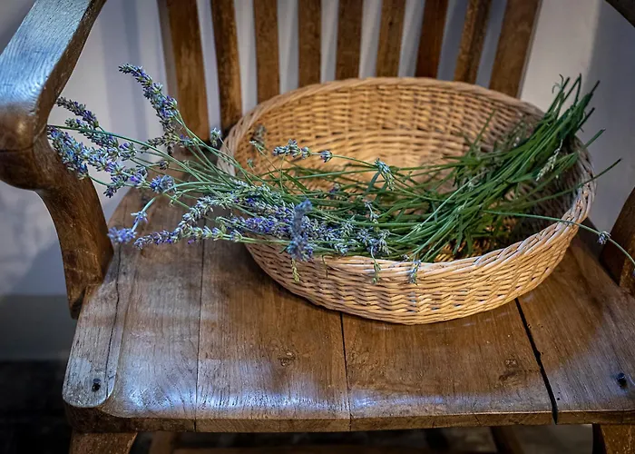 Διαμέρισμα Fiordaliso